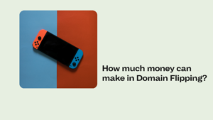 How much money can you make in Domain Flipping?