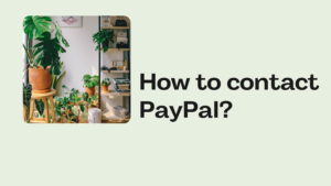 How to contact PayPal?
