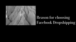 Reason for choosing Facebook Dropshipping