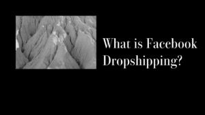 Facebook Dropshipping