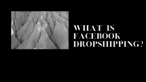 What Is Facebook Dropshipping and Does It Work?