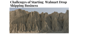 What are the Challenges of Starting a Walmart Drop Shipping Business?