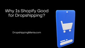 Why Is Shopify Good for Dropshipping