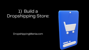1) Build a Dropshipping Store
