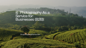 11) Photography As a Service for Businesses (B2B)
