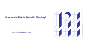 How much Risk in Website Flipping