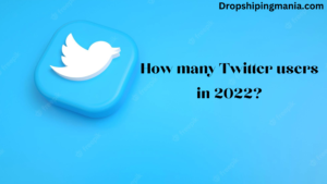 How many Twitter users in 2022?