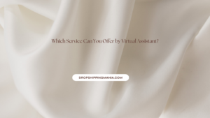 Which Service Can You Offer by Virtual Assistant