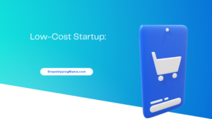 Low-Cost Startup