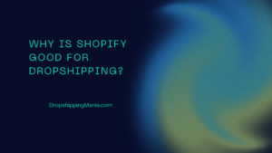 Why Is Shopify Good for Dropshipping