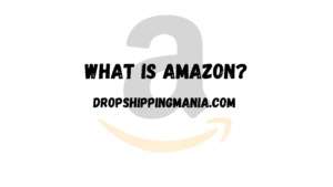 What Is Amazon?