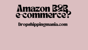 Amazon B2B e-commerce?