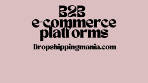 B2B e-commerce platforms
