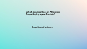 Which Services Does an AliExpress Dropshipping agent Provide?