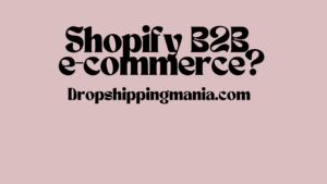 Shopify B2B e-commerce?