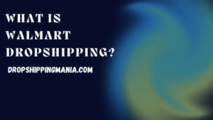 What Is Walmart Dropshipping?