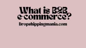 What is B2B e-commerce?