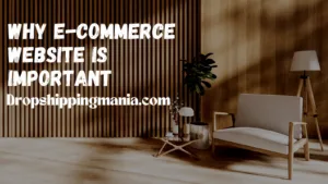 Why E-commerce website is important