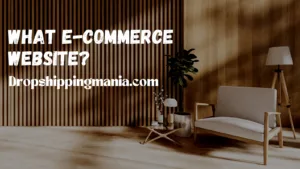 What e-commerce website?