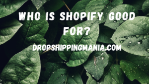 Who Is Shopify Good for?